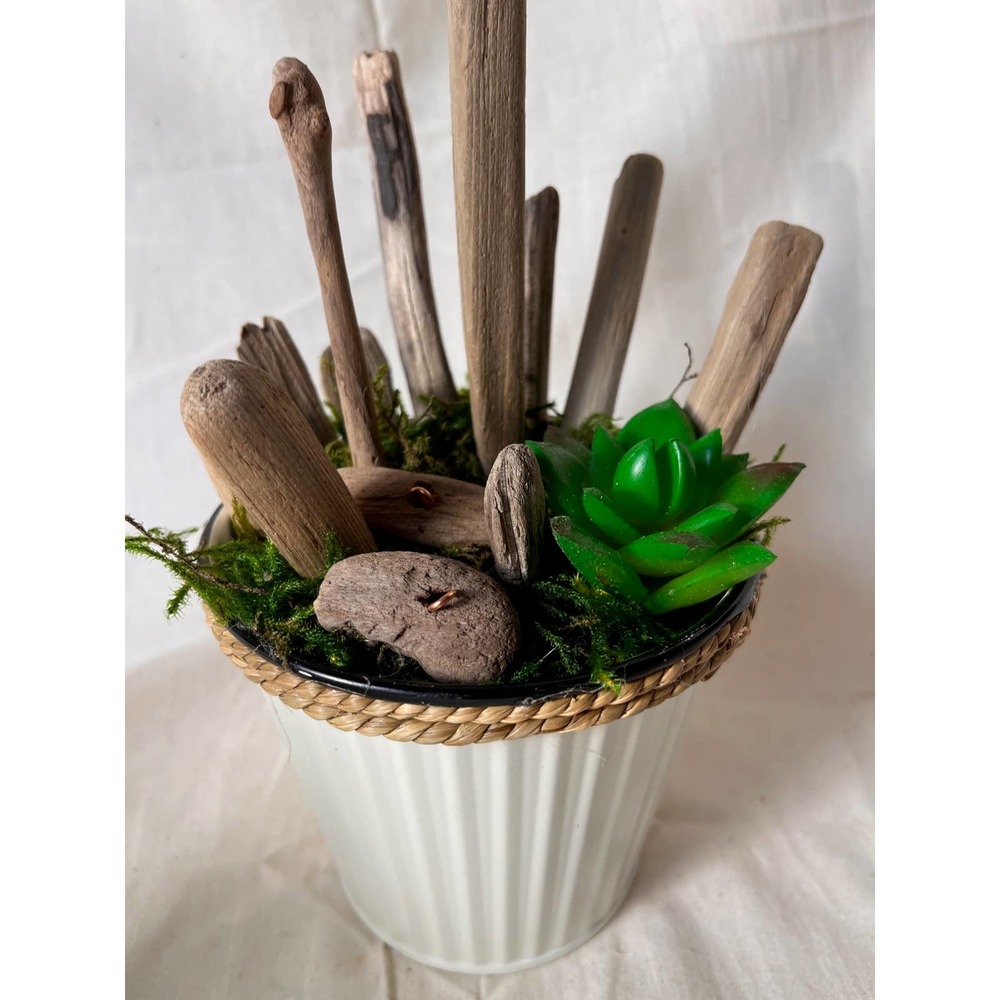 Perfect Gift Idea Lake Michigan Driftwood creatively collected with Succulents